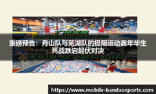 半岛体育官网